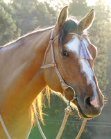 Bitted bridle and reins set, tasselled browband, light brown/beige zig zag