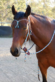 Pre made- Bitted bridle and reins set "Arizona Sky"