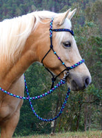 Sliding chin riding halter/reins set with V brow, Black "Northern Lights" padding/reins, cheek accents