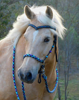 Sliding chin riding halter/reins set with V brow, Black "Northern Lights" padding/reins, cheek accents