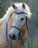 Sliding chin riding halter/reins set with V brow, Black "Northern Lights" padding/reins, cheek accents