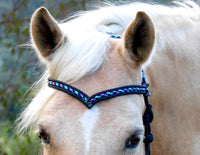 Sliding chin riding halter/reins set with V brow, Black "Northern Lights" padding/reins, cheek accents