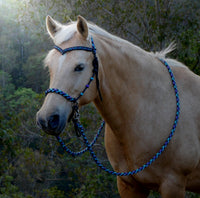 Sliding chin riding halter/reins set with V brow, Black "Northern Lights" padding/reins, cheek accents