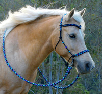 Sliding chin riding halter/reins set with V brow, Black "Northern Lights" padding/reins, cheek accents