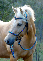 Sliding chin riding halter/reins set with V brow, Black "Northern Lights" padding/reins, cheek accents