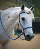 Sliding chin riding halter/reins set with V brow, Black "Northern Lights" padding/reins, cheek accents