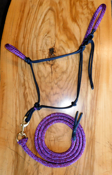 Pre made-Padded halter and lead set, black/Plum, large cob