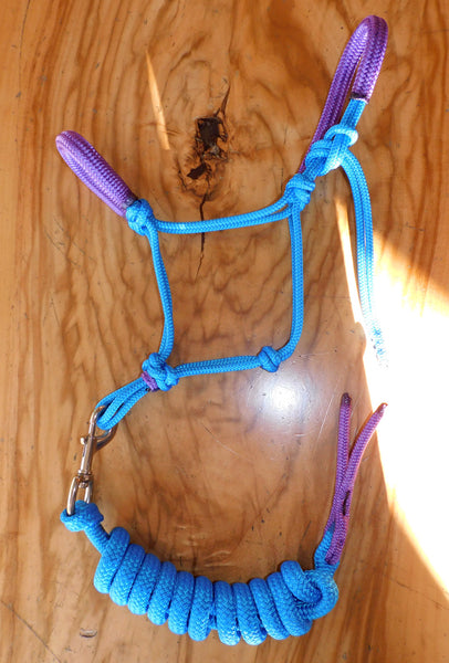 Pre made- Padded halter and lead set Cyan blue/purple large mini/small pony.