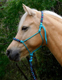 Padded halter and 2 mt lead set turquoise and "Northern Lights" padding/lead