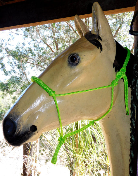 Pre made-Clearance Rolled nose halter, lime Full.