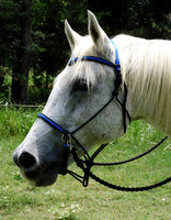 Riding halter/bitless bridle sidepull with simple chinstrap, dark brown, "Arizona Sky"