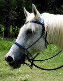 Riding halter/bitless bridle sidepull with simple chinstrap, dark brown, "Arizona Sky"