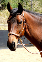 Riding halter/bitless bridle sidepull with simple chinstrap, dark brown, "Arizona Sky"