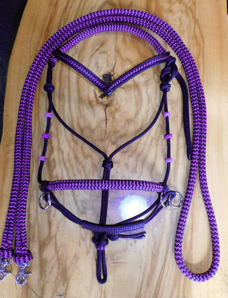 Pre made-Sliding chin riding halter/reins set black/purple Large cob, stainless steel.