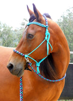 Pre made-Sliding chin riding halter and reins set, Turquoise/"Northern Lights"