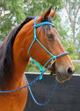 Sliding chin riding halter and reins set, Turquoise with "Northern Lights" padding/reins