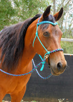 Pre made-Sliding chin riding halter and reins set, Turquoise/"Northern Lights"