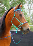 Pre made-Sliding chin riding halter and reins set, Turquoise/"Northern Lights"