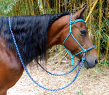 Pre made-Sliding chin riding halter and reins set, Turquoise/"Northern Lights"