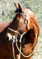 Pre made-Sliding chin riding halter and reins set FULL, beige, dark brown zig zag