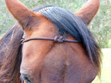 Bitted bridle head, standard style.