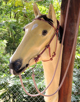 Bitted bridle head, standard style.