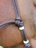 Bitted bridle head, standard style.