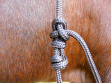 Bitted bridle head, standard style.