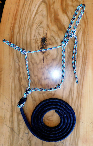 Pre made- Standard halter and loop lead "apache Dream" cob