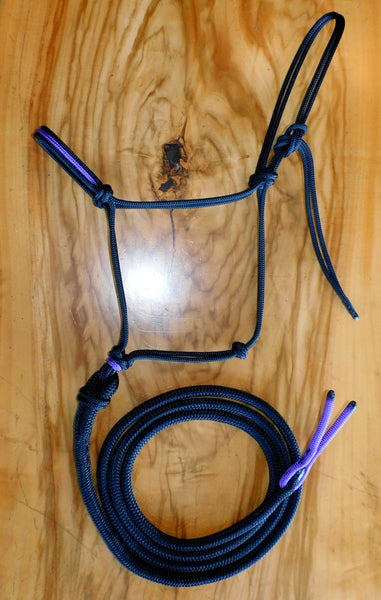 Marine rope Inset halter and lead set black/purple.