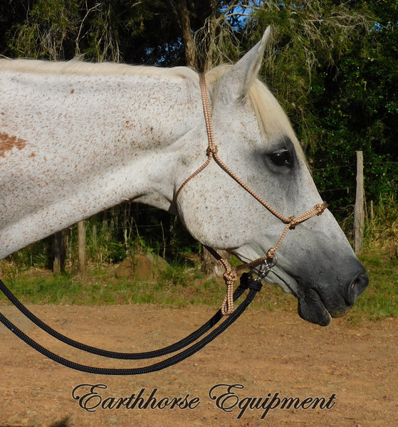 Pre made-Lower sidepull training/riding halter with four nose knots