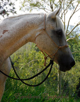 Pre made-Lower sidepull training/riding halter with four nose knots