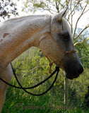 Pre made-Lower sidepull training/riding halter with four nose knots