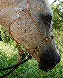 Pre made-Lower sidepull training/riding halter with four nose knots