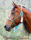 Padded halter and lead set with turks head accents and removable tassels.