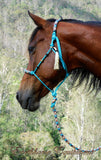 Padded halter and lead set with turks head accents and removable tassels.