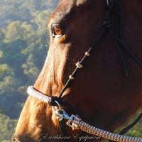 Simple chinstrap riding halter/reins set, Black with light brown/beige zig zag padding/reins