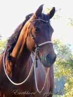 Simple chinstrap riding halter/reins set, Black with light brown/beige zig zag padding/reins