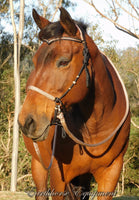 Pre made-Simple chinstrap riding halter with V brow, Black, light brown/beige zz padding/reins