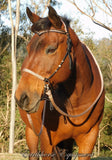 Pre made-Simple chinstrap riding halter with V brow, Black, light brown/beige zz padding/reins