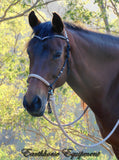 Pre made-Simple chinstrap riding halter with V brow, Black, light brown/beige zz padding/reins