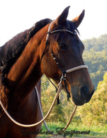 Pre made-Simple chinstrap riding halter with V brow, Black, light brown/beige zz padding/reins