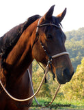 Simple chinstrap riding halter/reins set, Black with light brown/beige zig zag padding/reins