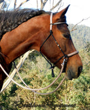 Simple chinstrap riding halter/reins set, Black with light brown/beige zig zag padding/reins