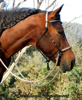 Pre made-Simple chinstrap riding halter with V brow, Black, light brown/beige zz padding/reins