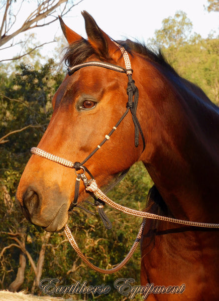 Simple chinstrap riding halter/reins set, Black with light brown/beige zig zag padding/reins