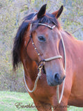 Sliding chin riding halter/reins set with V brow, dark brown/beige zig zag, turks head cheek accents