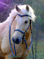 Sliding chin riding halter/reins set with V brow, Black "Northern Lights" padding/reins, cheek accents