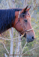 Sliding chin riding halter/reins set with V brow, dark brown/beige zig zag, turks head cheek accents