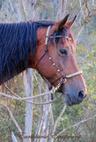 Sliding chin riding halter/reins set with V brow, dark brown/beige zig zag, turks head cheek accents